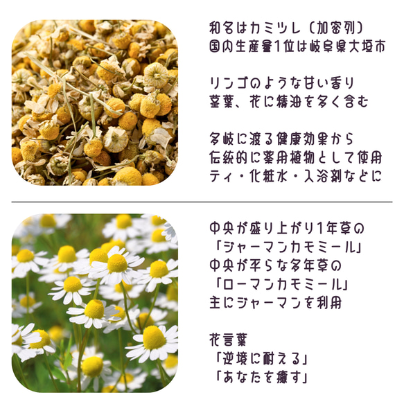 つまみ細工「カモミールのピンバッジ」 2枚目の画像