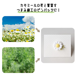 つまみ細工「カモミールのピンバッジ」 3枚目の画像