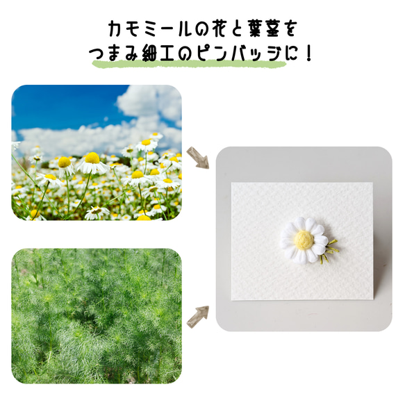 つまみ細工「カモミールのピンバッジ」 3枚目の画像