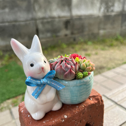 ☆送料無料☆1点限り☆♡そのまま飾れる♡うさぎちゃんの可愛い