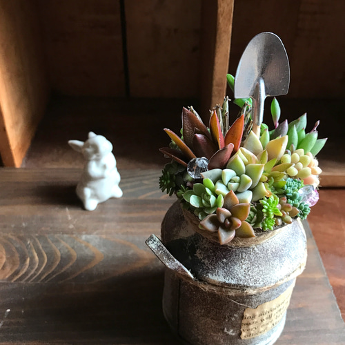 リメイク缶250☆多肉植物☆寄せ植え☆インテリア 1_aca17a10d11fe516a621597e037c