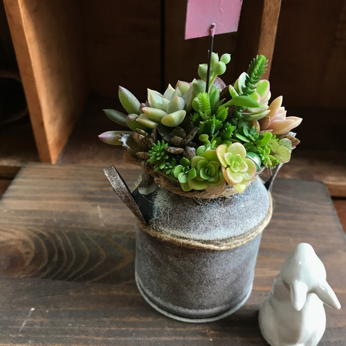 リメイク缶☆2個セット☆ハンドメイド☆寄せ植えに☆多肉植物 - その他