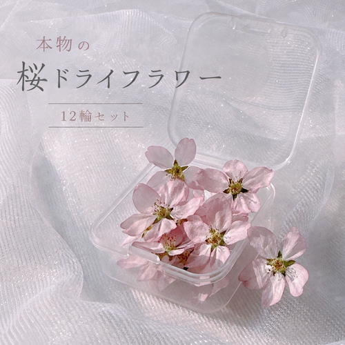 【再販△】レジン　ヘアゴム　本物の桜と蝶　ハート　ドライフラワー 生花のような瑞々しさ桜ドライフラワー／レジン・アクセサリー用／初回