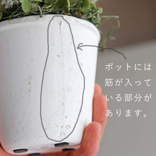 母の日ギフトに♪ミモザとラベンダー白樺の枝ポットアレンジ ＊ ドライ