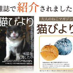【TVで紹介✨】ねこカゴセット〔necomaruクッション&ねこカゴ〕 6枚目の画像