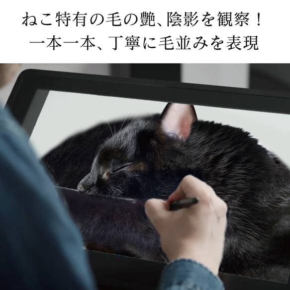【TVで紹介✨】ねこカゴセット〔necomaruクッション&ねこカゴ〕 15枚目の画像