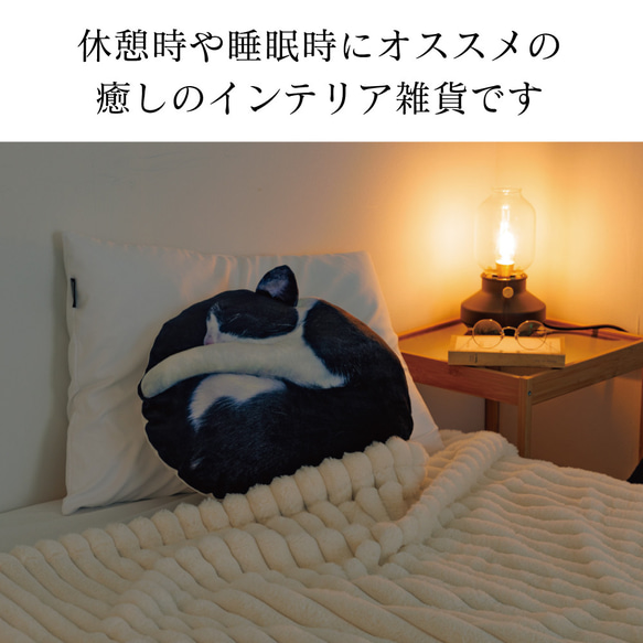 【TVで紹介✨】ねこカゴセット〔necomaruクッション&ねこカゴ〕 16枚目の画像