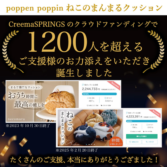【TVで紹介✨】ねこカゴセット〔necomaruクッション&ねこカゴ〕 2枚目の画像