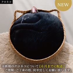 【TVで紹介✨】ねこカゴセット〔necomaruクッション&ねこカゴ〕 4枚目の画像