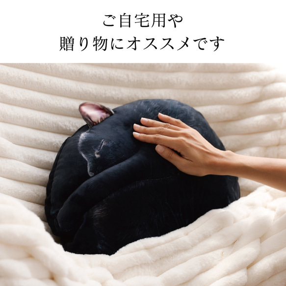 【TVで紹介✨】ねこカゴセット〔necomaruクッション&ねこカゴ〕 17枚目の画像