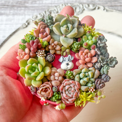 送料無料】多肉植物寄せ植え そのまま飾れる♡春のバスケットアレンジ