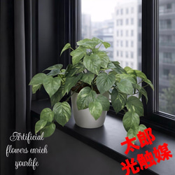 光触媒 人工観葉植物 ウォールグリーン フェイク フラワー50561 その他
