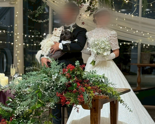 実例写真！ボレロ 半袖 インポートビジューレース くるみボタン