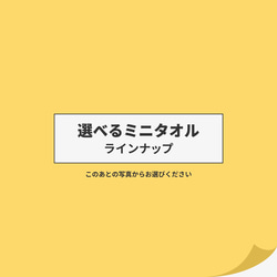  第5張的照片