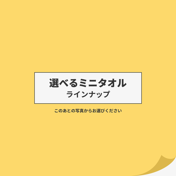  第5張的照片