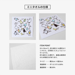  第4張的照片