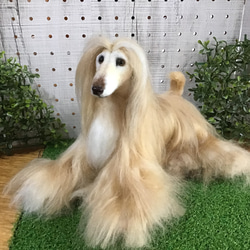 ロングコートチワワ（クリーム）伏せポーズ❣️ 羊毛フェルト コーギー