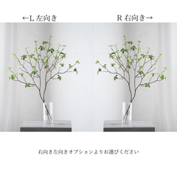 第6張的照片