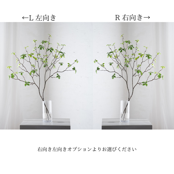  第6張的照片