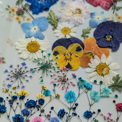 押し花教材。ウレタンフォーム DIYパーツ fleur-prunelle 通販 9006433