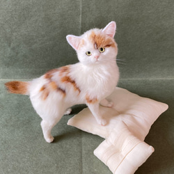 羊毛フェルト猫 全身 リアル可愛い三毛のマンチカン 羊毛フェルト