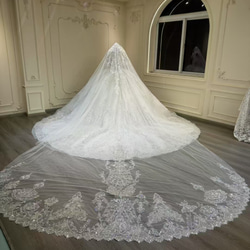 激安、チャンスをつかむ　取り外し可能袖　オフショルダー　二の腕カバー　白ホワイト　グッリター編み上げ　ブライダル海外挙式 6枚目の画像