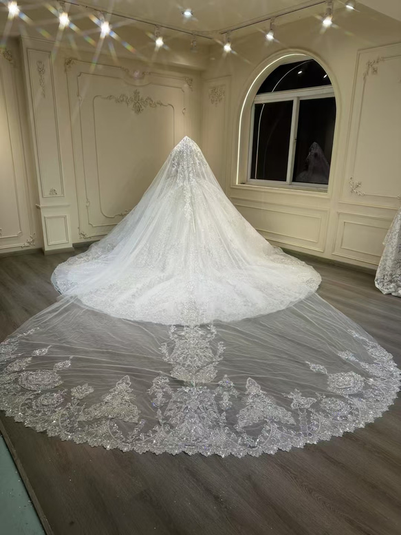 激安、チャンスをつかむ　取り外し可能袖　オフショルダー　二の腕カバー　白ホワイト　グッリター編み上げ　ブライダル海外挙式 6枚目の画像