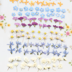押し花教材。ウレタンフォーム DIYパーツ fleur-prunelle 通販 9006433
