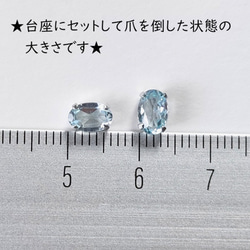  第6張的照片