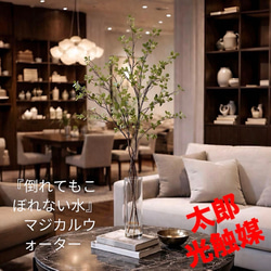 光触媒　人工観葉植物　ウォールグリーン　フェイクグリーン　ユーカリポット 光触媒 人工観葉植物 ウォールグリーン フェイクグリーン ユーカリ高さ
