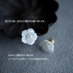  第5張的照片