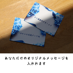  第4張的照片