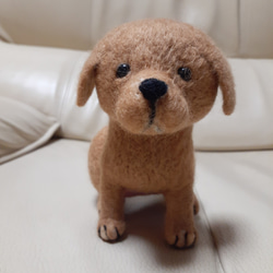 羊毛フェルト 甲斐犬 羊毛フェルト Kingこうた 通販 16436002｜Creema