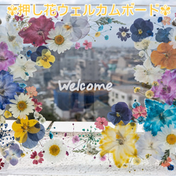 押し花教材。ウレタンフォーム DIYパーツ fleur-prunelle 通販 9006433