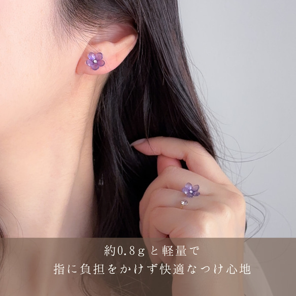  第4張的照片