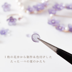  第5張的照片