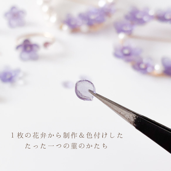  第5張的照片