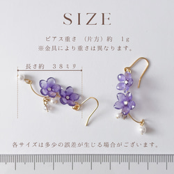  第10張的照片