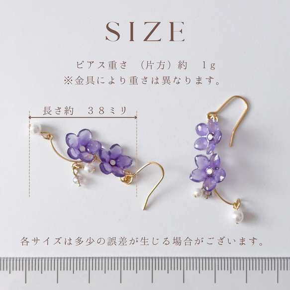  第10張的照片