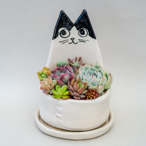 猫好きさんへ ハチワレ猫の多肉植物鉢 陶器 スリム 手作り 一輪挿し
