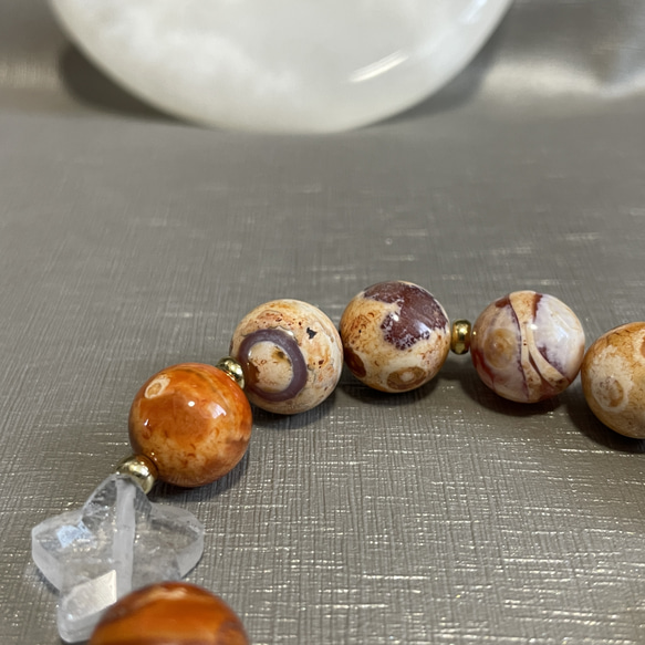  第8張的照片