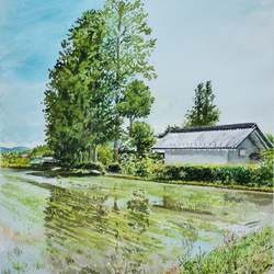 絵画 水彩画 風景画 画題 「晩秋の川景色」 絵画 yamakasumi56 通販