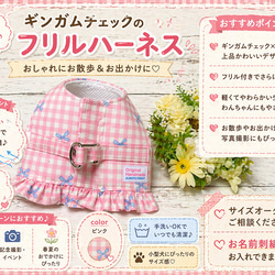 名前刺繍可 犬用 ハーネス リードセット 犬用ハーネス M ピジョン