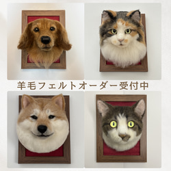 犬猫専門 羊毛フェルトオーダーメイド 羊毛フェルト Kuki Felt 通販