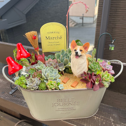 プレゼントにも〜受注制作 大 うさぎちゃん箱庭風多肉植物寄せ植え