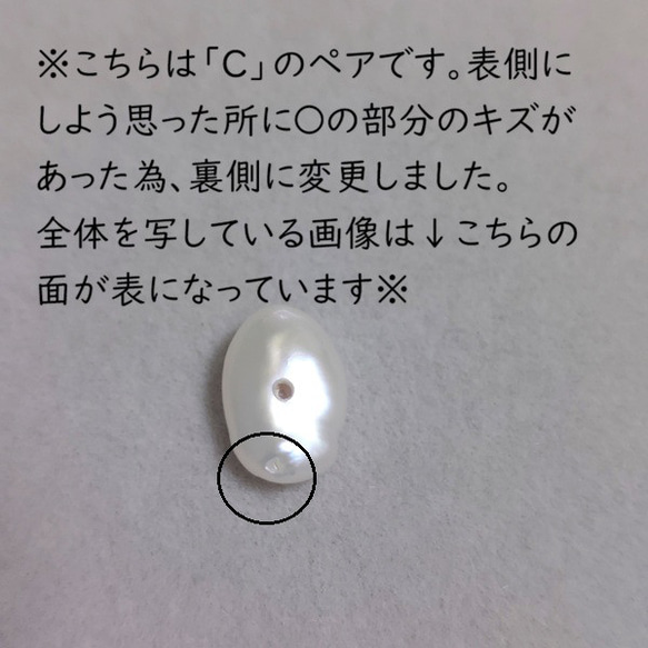  第12張的照片