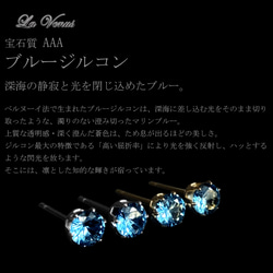  第10張的照片