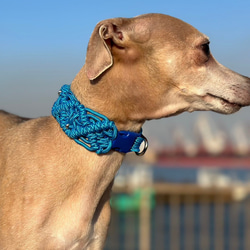 パラコード ショートリード 大型犬用 出来上がり全長45cm お揃いの