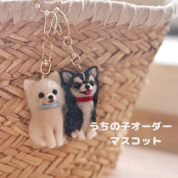 羊毛フェルトオーダー　花かごＭサイズ オーダー 羊毛フェルト のおすすめ人気通販｜Creema(クリーマ