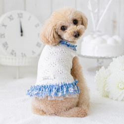 犬服 タンクトップ のおすすめ人気通販 検索結果｜Creema(クリーマ